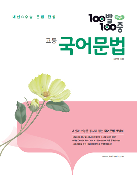 100발100중 국어문법 개념서