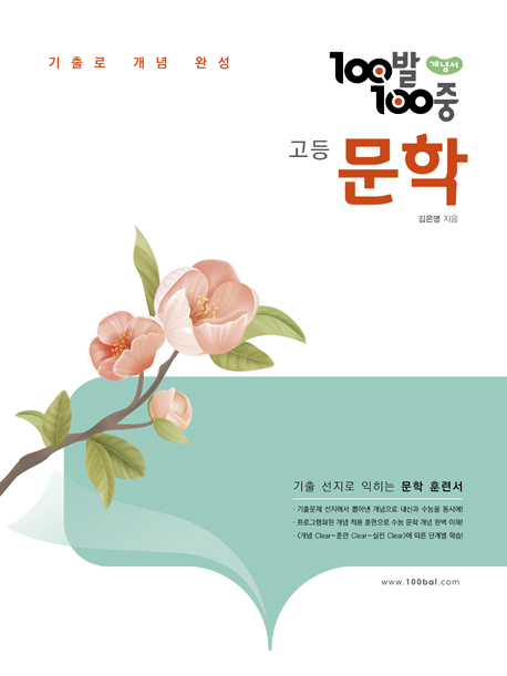 100발100중 고등 문학 개념서